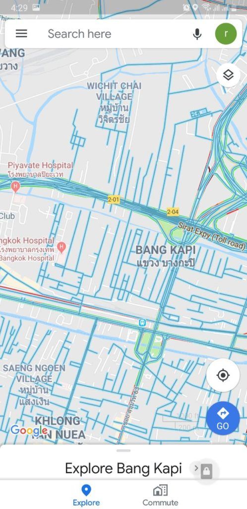 Google Maps Street View Layer